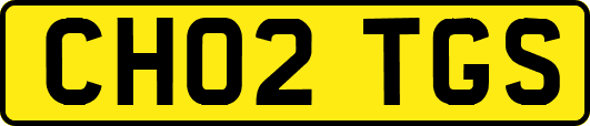 CH02TGS