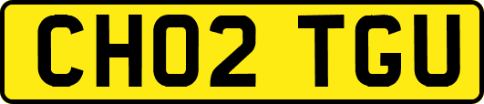 CH02TGU