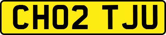 CH02TJU