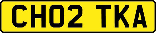 CH02TKA