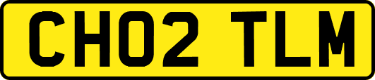 CH02TLM