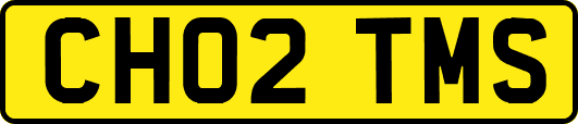 CH02TMS