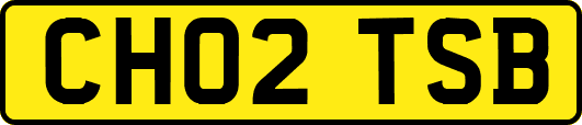 CH02TSB