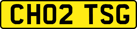 CH02TSG