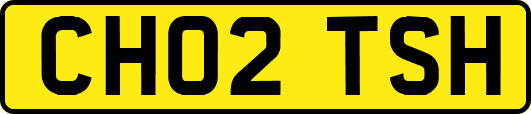CH02TSH