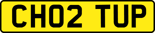 CH02TUP