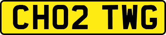 CH02TWG