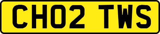 CH02TWS