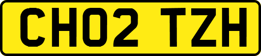CH02TZH