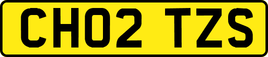 CH02TZS