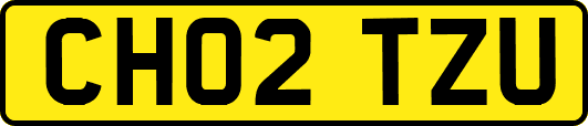 CH02TZU
