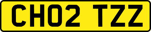 CH02TZZ