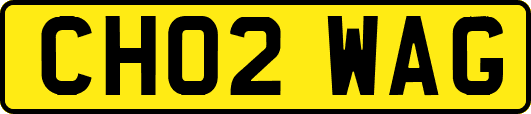 CH02WAG
