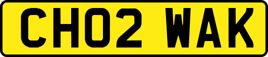 CH02WAK