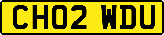 CH02WDU