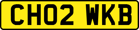 CH02WKB