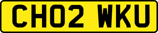 CH02WKU