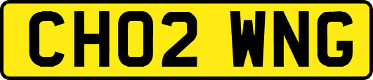 CH02WNG