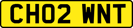 CH02WNT