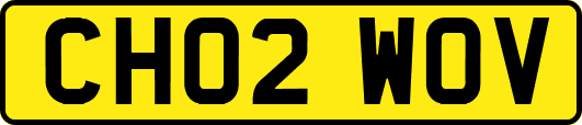 CH02WOV