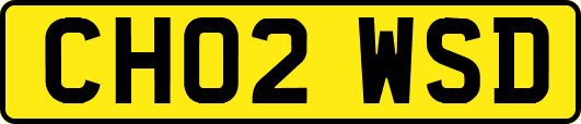 CH02WSD