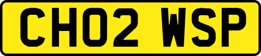 CH02WSP