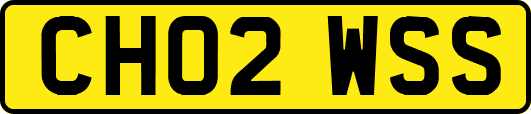 CH02WSS
