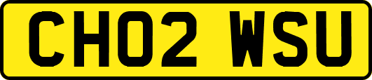 CH02WSU