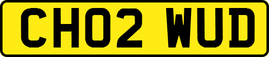 CH02WUD