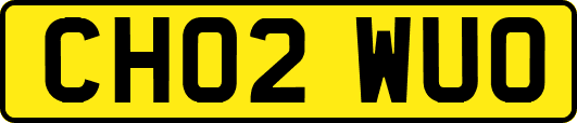 CH02WUO