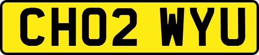 CH02WYU