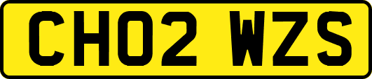 CH02WZS