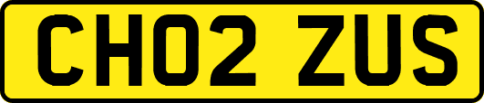 CH02ZUS