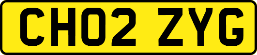 CH02ZYG