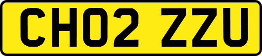 CH02ZZU