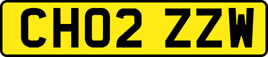 CH02ZZW