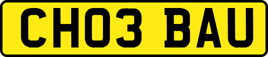 CH03BAU