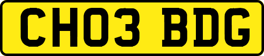 CH03BDG