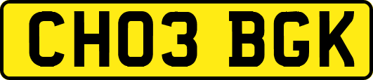 CH03BGK