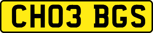 CH03BGS