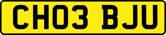 CH03BJU