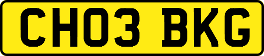 CH03BKG