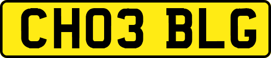 CH03BLG