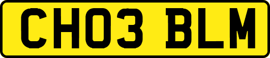 CH03BLM