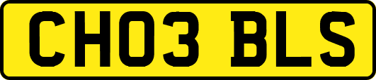CH03BLS