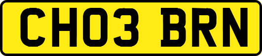 CH03BRN