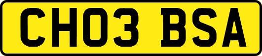 CH03BSA