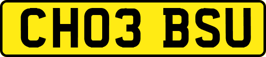 CH03BSU