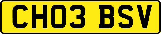 CH03BSV