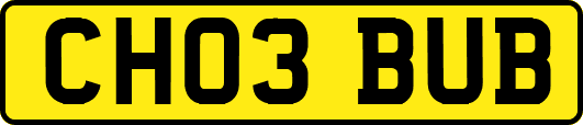 CH03BUB